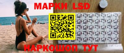 гашик Моздок