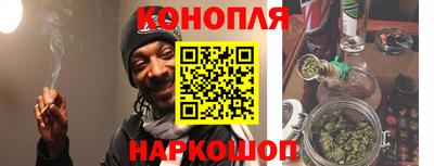 гашик Моздок