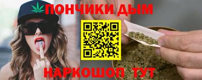 гашик Моздок