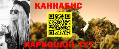 гашик Моздок