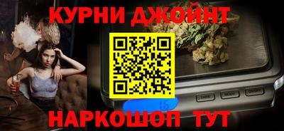 гашик Моздок
