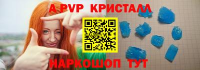 гашик Моздок