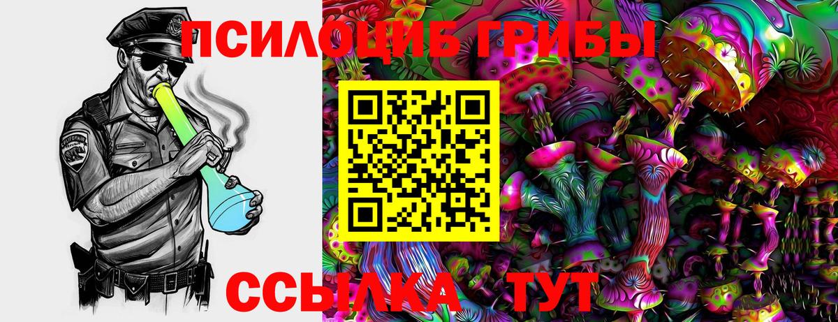 Верхний Уфалей  Галлюциногенные грибы Psilocybe  Вход с VPN 
